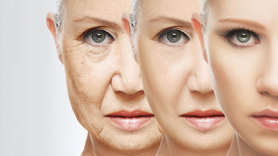 Наше будущее, которое не за горами