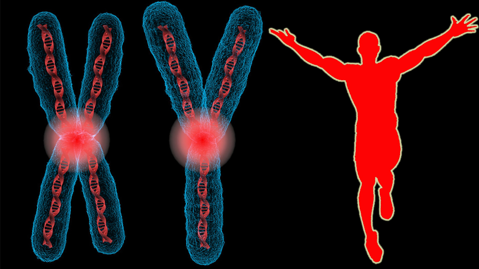 Какая физкультура удлиняет теломеры