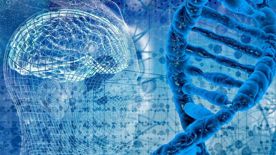 Память меняет генетику, а физкультура ещё сильнее