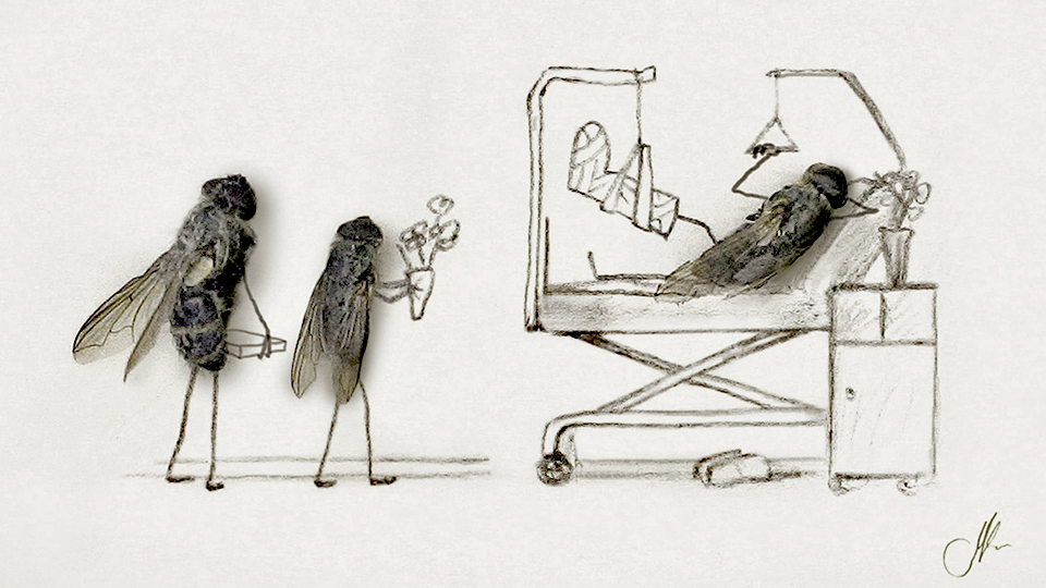 Граждане мрут как мухи, так их программирует российское общество