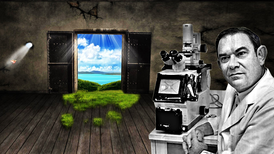 Человек может прожить намного дольше «предела Хейфлика»