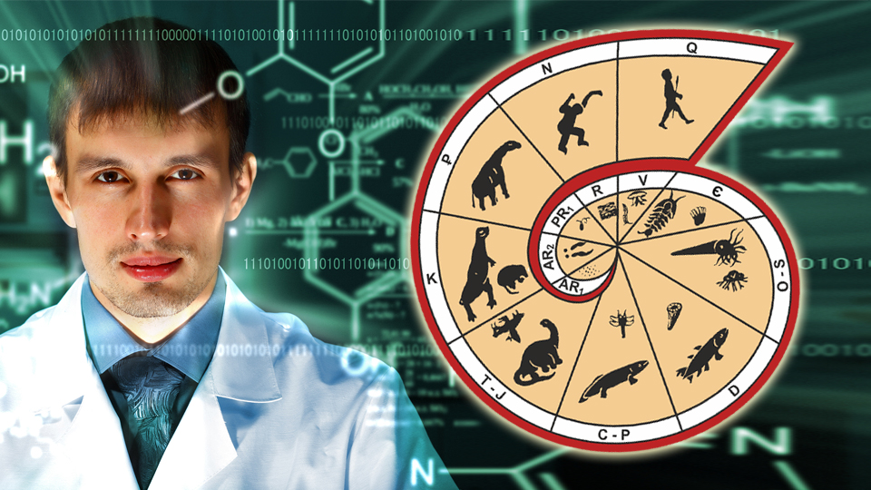 Старение побеждают не биологи