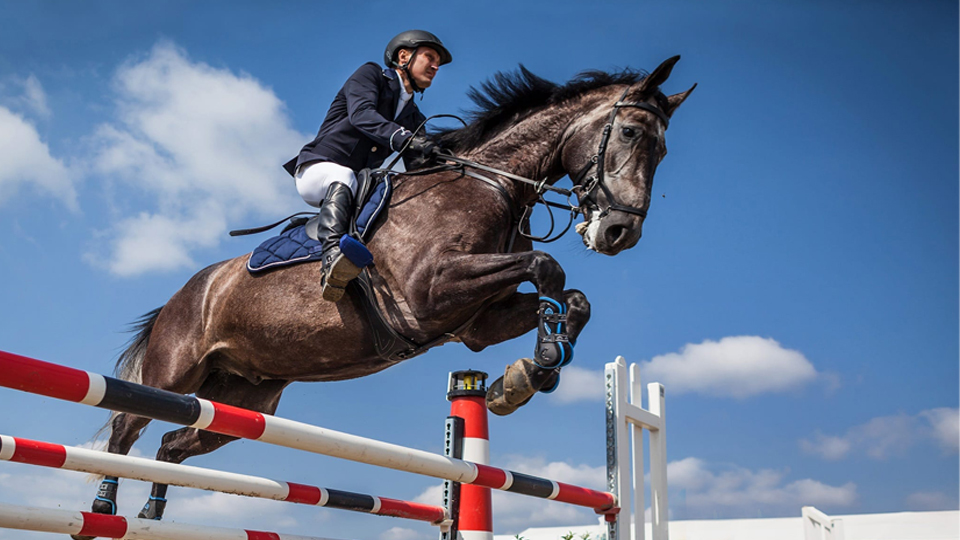 Условия третьего скачка увеличения продолжительности жизни
