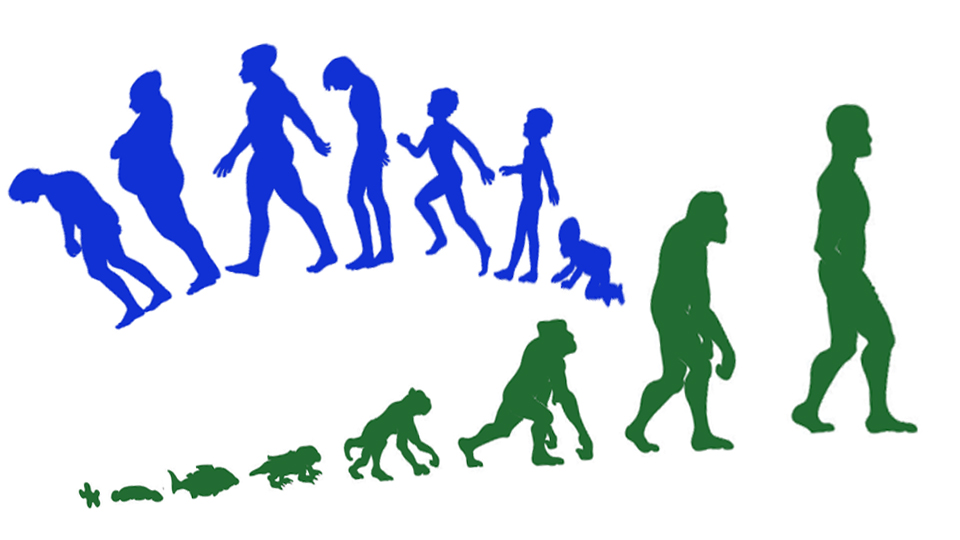 Феномен старения изменчив, не извечен и не навсегда