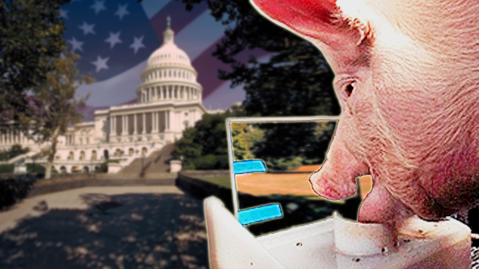 Теперь Президентом США сможет стать даже не человек