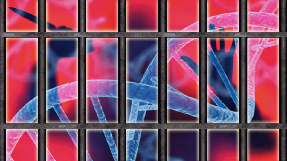 Химера трансгуманизма вместо улучшения человека