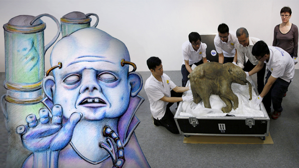 Цифровой гомункул консультирует воскрешение мамонтов