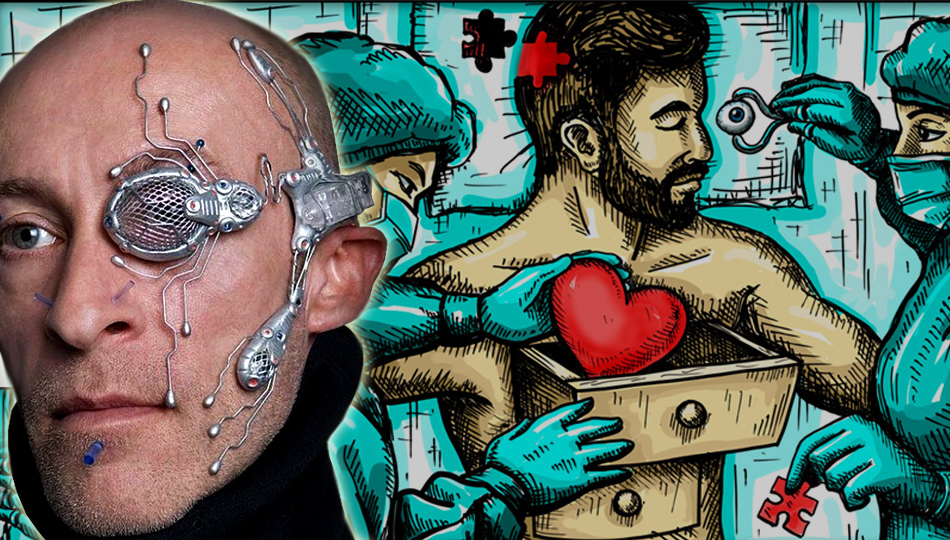 Клоны конечностей взрослых непригодны для пересадки