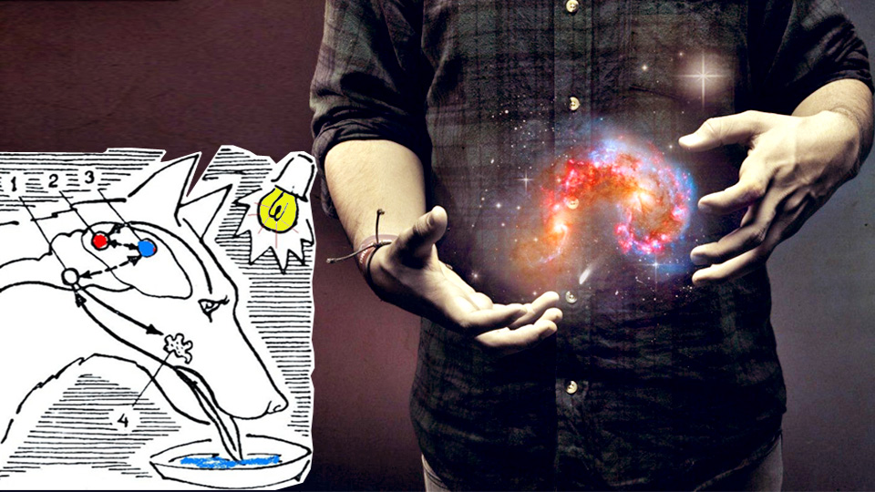 «Рефлекс творчества» враждебен свободе